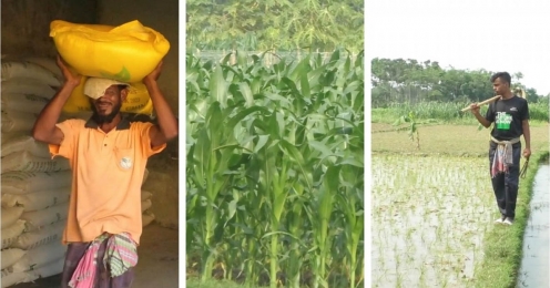 সারের বাজারে ভিন্ন ফন্দি, হতাশ ডিলাররা 