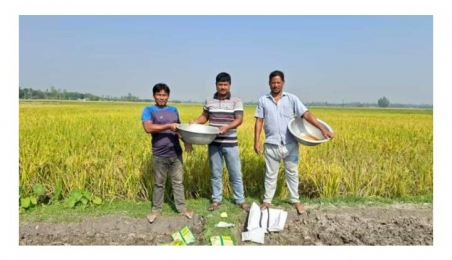 সরিষা চাষে কৃষকদের ব‍্যাপক সাড়া। 