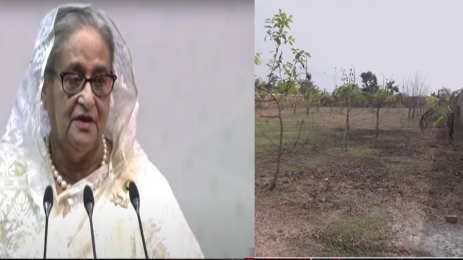 পূর্বাচলে প্লট দুর্নীতির ৩ মামলায় শেখ হাসিনার ২১ বছরের কারাদণ্ড 