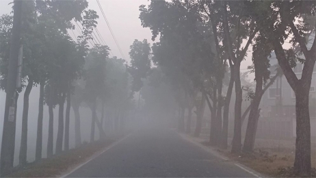 তেঁতুলিয়ায় তাপমাত্রা নামলো ১১ ডিগ্রিতে 