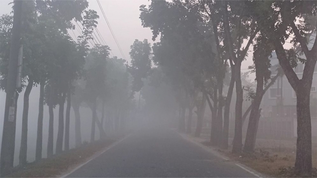 তেঁতুলিয়ায় তাপমাত্রা নামলো ১১ ডিগ্রিতে 
