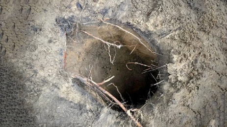 বেলারুশ সীমান্তে সুড়ঙ্গ দিয়ে পোল্যান্ডে প্রবেশ ১৮০ জন অভিবাসীর 