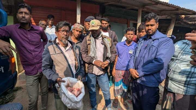 বরিশালের পটুয়াখালীতে হরিণের মাংসসহ আটক ১  