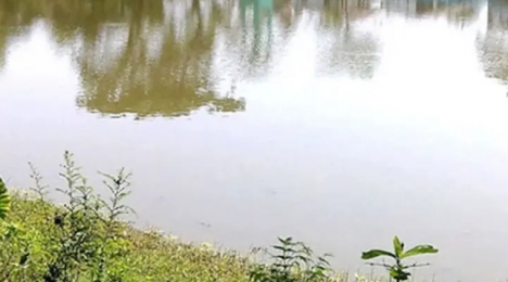‘একদিনে তিন প্রাণ ঝরল’ ভোলায় পুকুরে ডুবে তিন শিশুর মৃ'ত্যু