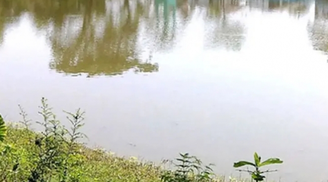 ‘একদিনে তিন প্রাণ ঝরল’ ভোলায় পুকুরে ডুবে তিন শিশুর মৃ'ত্যু