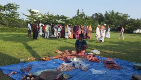 ফিওনা লাক্সারি রিসোর্টে পশু কুরবানি ও মাংস বিতরণের মধ্য দিয়ে পবিত্র ঈদুল আযহা উদযাপন