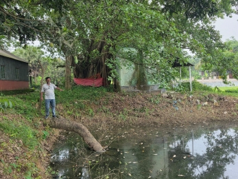 পূবাইলে পুকুরে বিষ প্রয়োগের অভিযোগ, লক্ষাধিক টাকার মাছ নিধন