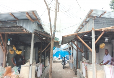 ‎হাতীবান্ধা হাটে গাছ কেটে দোকানঘর নির্মাণ, কৃষ্ণচূড়া গাছের গোড়ায় লবণ প্রয়োগের অভিযোগ