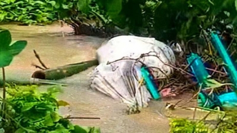 চট্টগ্রামের সাতকানিয়ায় বন্যার স্রোতে কবর ভেঙে ভেসে উঠল ৩ মরদেহ