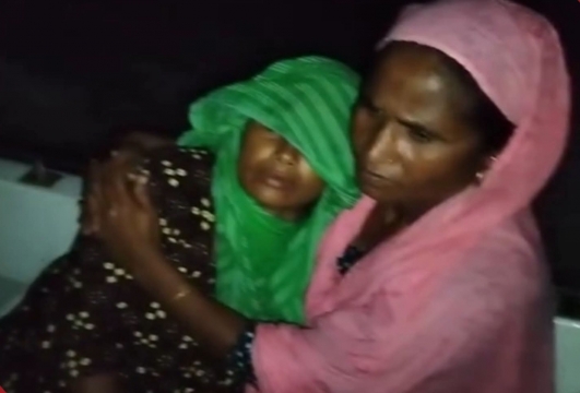 সিরাজগঞ্জে গোয়ালঘরে গরু তুলতে গিয়ে বিষধর সাপের কামড়ে গৃহবধূর মৃত্যু