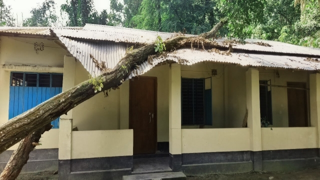 হাতীবান্ধায় বন কর্মকর্তার বাসভবনের ওপর দুই শালগাছ, আতঙ্কে পরিবার