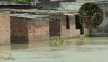 রাজশাহীতে উজানের ঢলে বিষধর সাপ, আতঙ্কে পানিবন্দি বাসিন্দারা