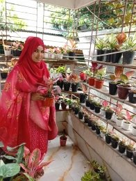 শখের বশে ছাদ বা বারান্দার সবুজায়ন, আজ কেয়া মনির উদ্যোক্তা হয়ে ওঠার এক অনুপ্রেরণামূলক গল্প