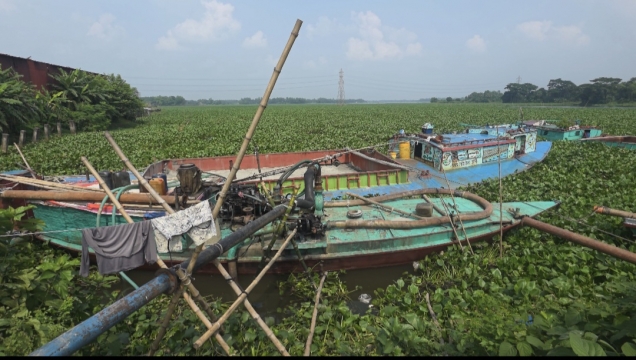 প্রশাসনের নাকের ডগায় পূবাইলে ড্রেজার বসিয়ে ধ্বংস করা হচ্ছে বেলাই বিলের জীববৈচিত্র্য